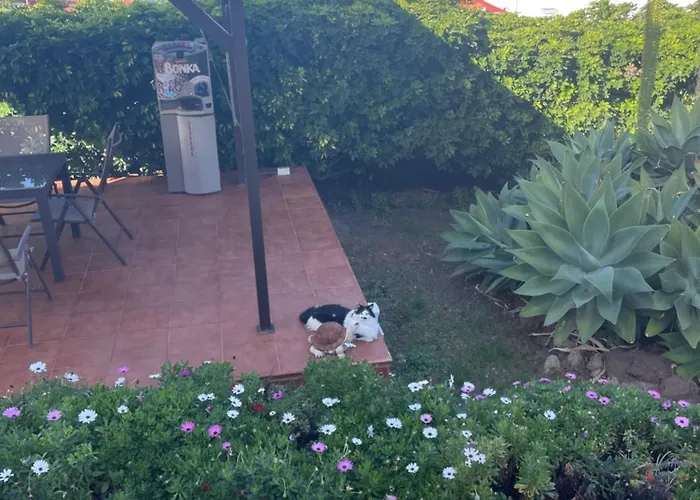 Alojamiento De Invitados